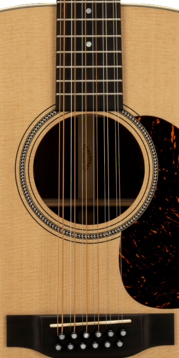 Grand J-16E 12 String-01 (2024)_Label_Image