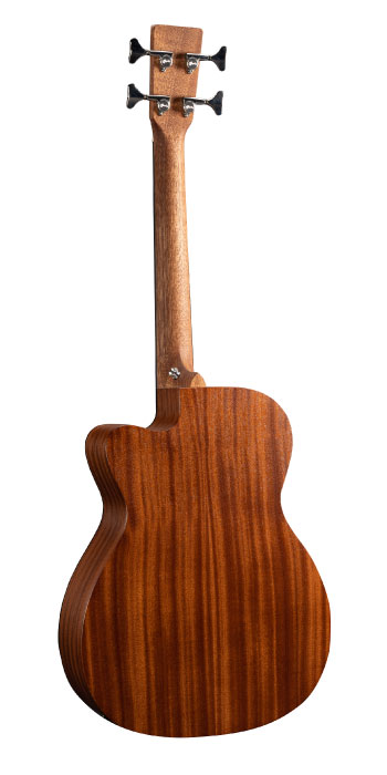 000CJR-10E BASS BURST_Back_Image