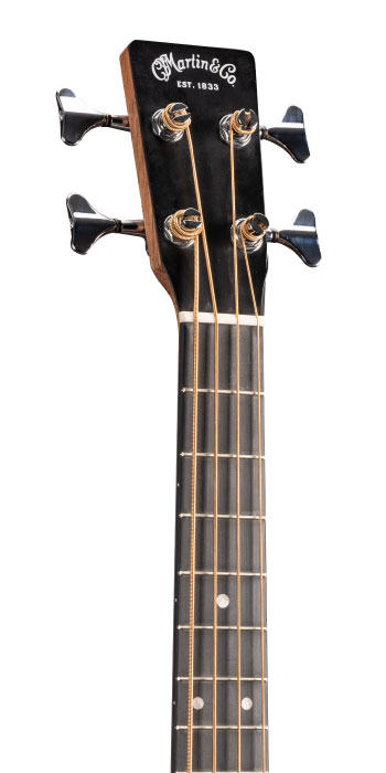 000CJR-10E BASS BURST_Head_Image