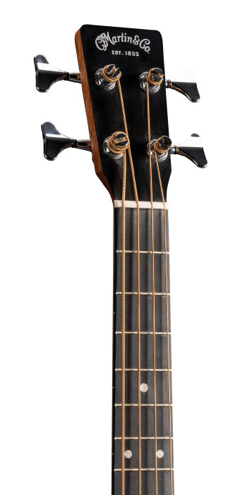 DJR-10E BASS_Head_Image