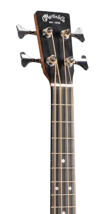 DJR-10E BASS BURST_Head_Image