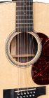 Grand J-16E 12 String_Label_Image