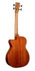 000C Jr E Bass_Back_Image