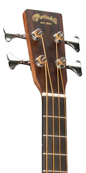 000C Jr E Bass_Head_Image