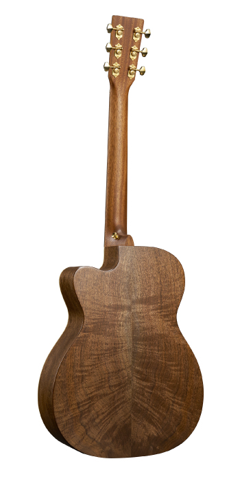 000C Jr E Walnut Burst_Back_Image