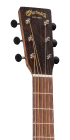 000 Jr E Sapele_Head_Image