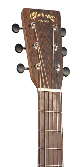 D-10E Retro Sapele_Head_Image