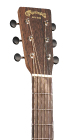 D-10E Retro Sapele_Head_Image