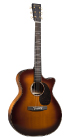 GPCE Inception™ Maple (2025)_Front_Image