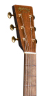 GPCE Inception™ Maple (2024)_Head_Image