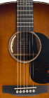 GPE Inception™ Maple (2025)_Label_Image